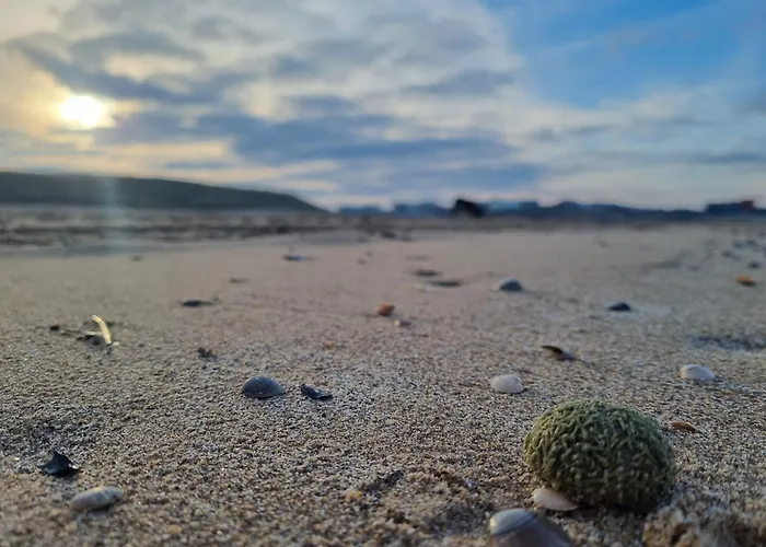 Apartment 't Hoekhuisje